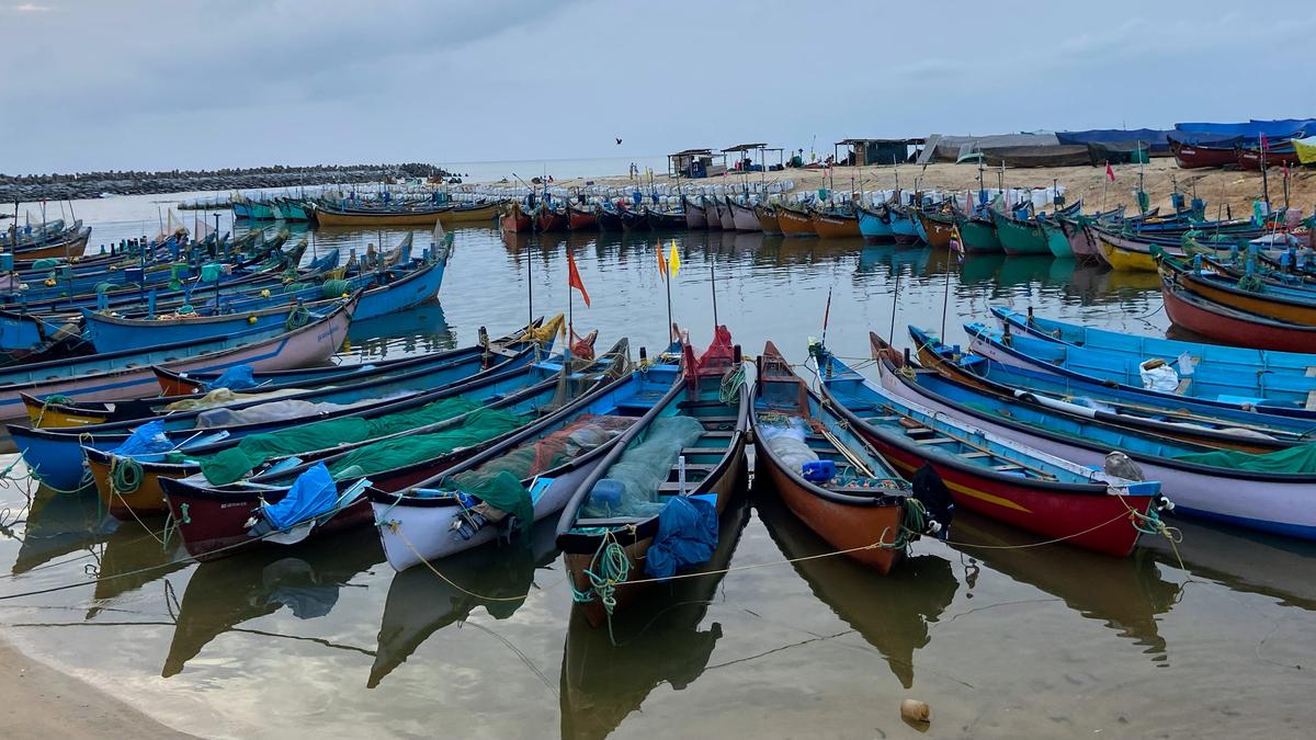 Sea Food park proposed at Kambadakone in Udupi district, mechanised